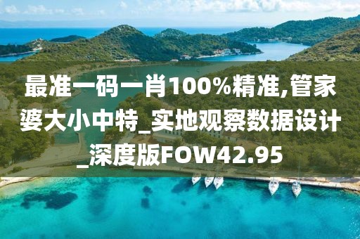 最准一码一肖100%精准,管家婆大小中特_实地观察数据设计_深度版FOW42.95