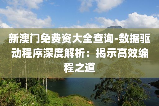 新澳门免费资大全查询-数据驱动程序深度解析：揭示高效编程之道
