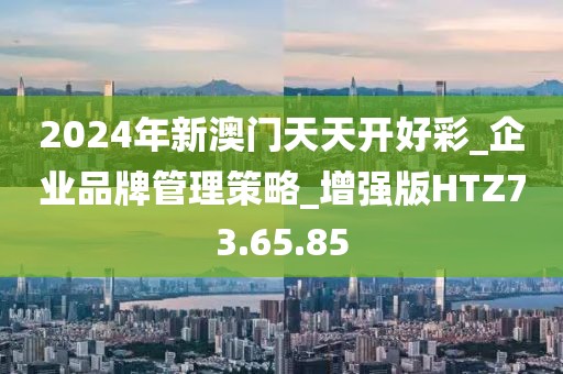 2024年新澳门天天开好彩_企业品牌管理策略_增强版HTZ73.65.85