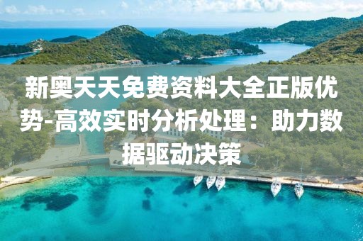 新奥天天免费资料大全正版优势-高效实时分析处理：助力数据驱动决策
