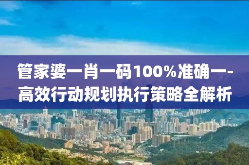 管家婆一肖一码100%准确一-高效行动规划执行策略全解析