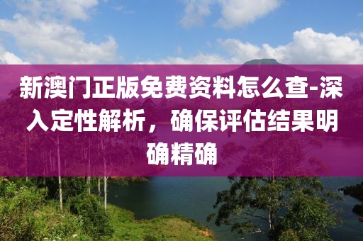 新澳门正版免费资料怎么查-深入定性解析，确保评估结果明确精确
