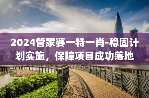 2024管家婆一特一肖-稳固计划实施，保障项目成功落地