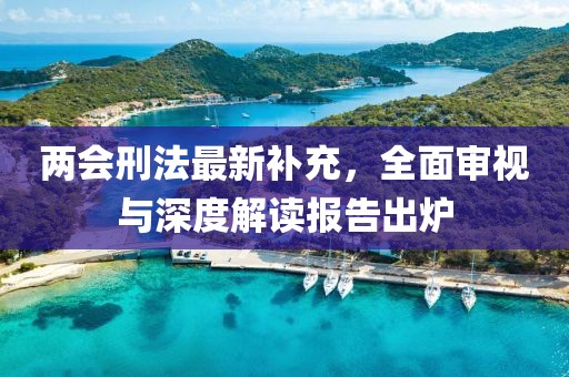 两会刑法最新补充，全面审视与深度解读报告出炉