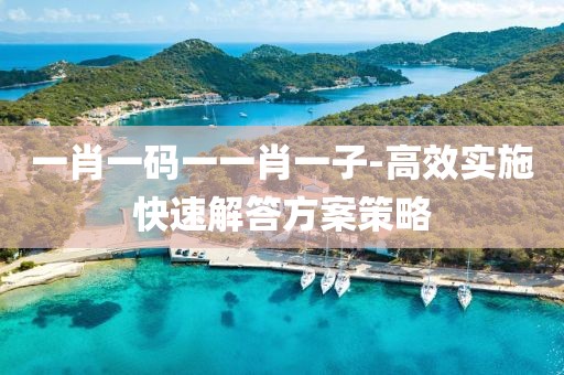 一肖一码一一肖一子-高效实施快速解答方案策略