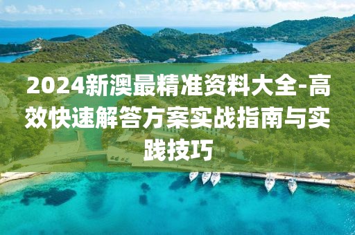 2024新澳最精准资料大全-高效快速解答方案实战指南与实践技巧