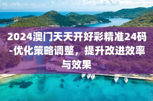 2024澳门天天开好彩精准24码-优化策略调整，提升改进效率与效果