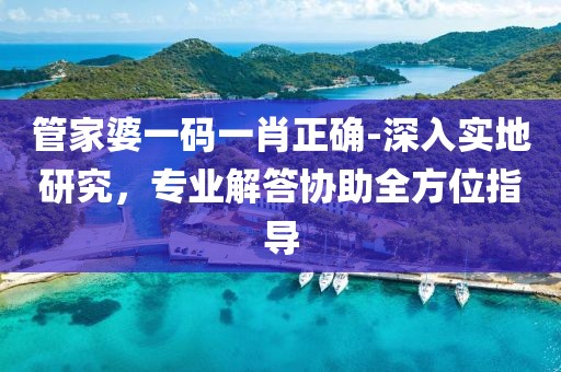 管家婆一码一肖正确-深入实地研究，专业解答协助全方位指导