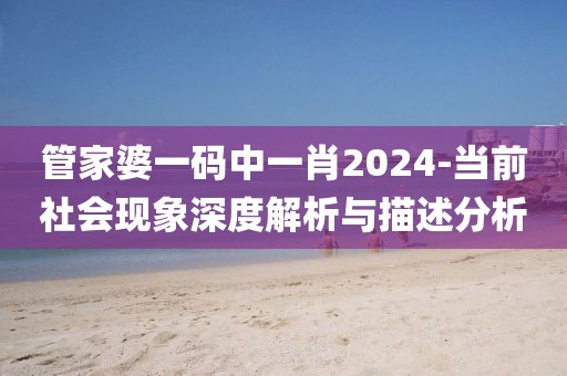 管家婆一码中一肖2024-当前社会现象深度解析与描述分析