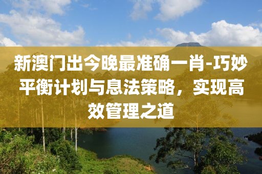 新澳门出今晚最准确一肖-巧妙平衡计划与息法策略，实现高效管理之道