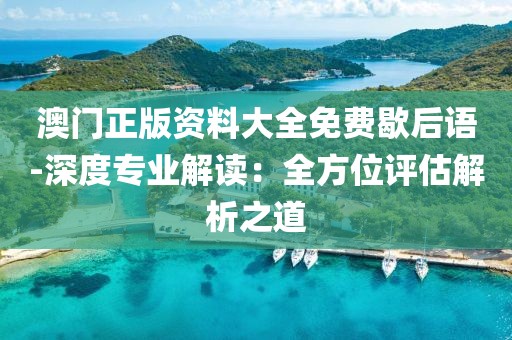 澳门正版资料大全免费歇后语-深度专业解读：全方位评估解析之道