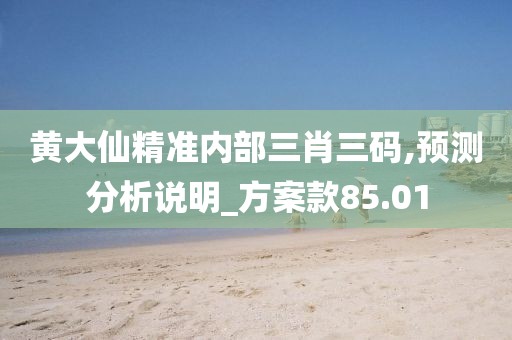 黄大仙精准内部三肖三码,预测分析说明_方案款85.01