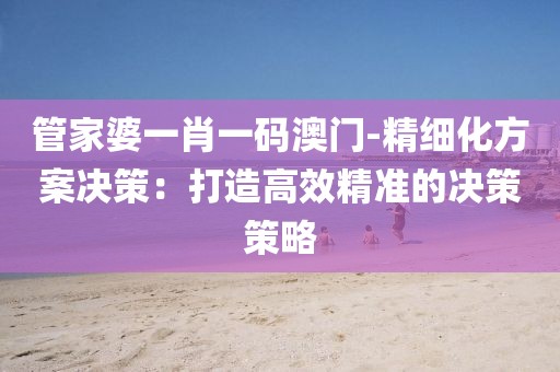 管家婆一肖一码澳门-精细化方案决策：打造高效精准的决策策略