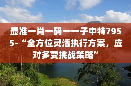 最准一肖一码一一子中特7955-“全方位灵活执行方案，应对多变挑战策略”