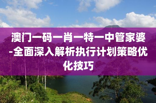 澳门一码一肖一特一中管家婆-全面深入解析执行计划策略优化技巧