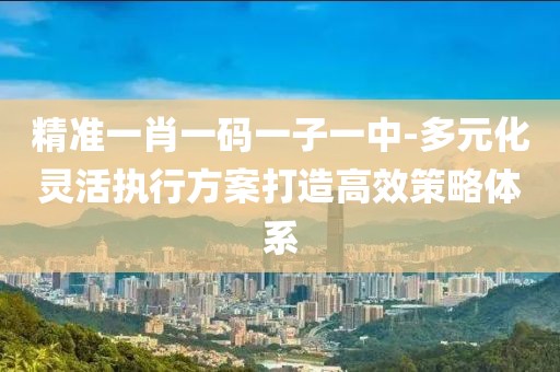 精准一肖一码一子一中-多元化灵活执行方案打造高效策略体系