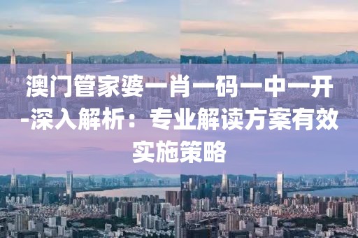 澳门管家婆一肖一码一中一开-深入解析：专业解读方案有效实施策略