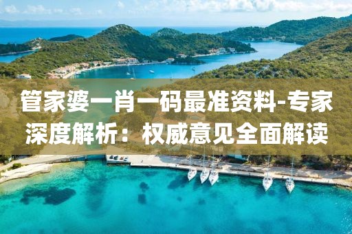 管家婆一肖一码最准资料-专家深度解析：权威意见全面解读