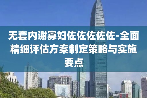 无套内谢寡妇佐佐佐佐佐-全面精细评估方案制定策略与实施要点