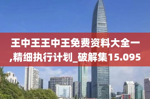 王中王王中王免费资料大全一,精细执行计划_破解集15.095
