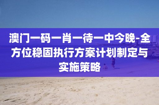 澳门一码一肖一待一中今晚-全方位稳固执行方案计划制定与实施策略