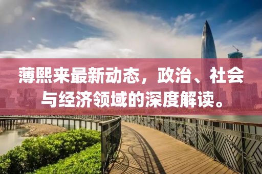 薄熙来最新动态，政治、社会与经济领域的深度解读。
