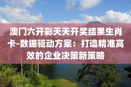 澳门六开彩天天开奖结果生肖卡-数据驱动方案：打造精准高效的企业决策新策略