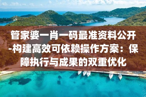 管家婆一肖一码最准资料公开-构建高效可依赖操作方案：保障执行与成果的双重优化