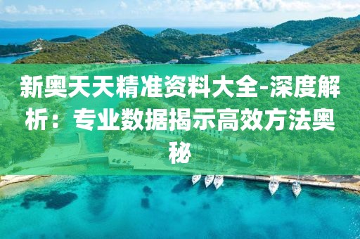 新奥天天精准资料大全-深度解析：专业数据揭示高效方法奥秘
