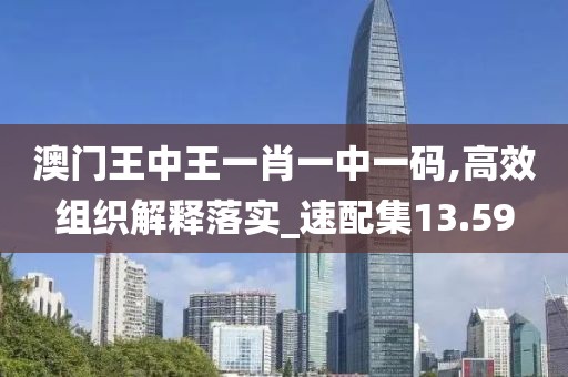 澳门王中王一肖一中一码,高效组织解释落实_速配集13.59