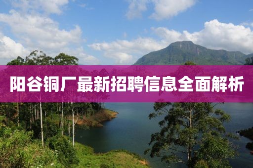 阳谷铜厂最新招聘信息全面解析