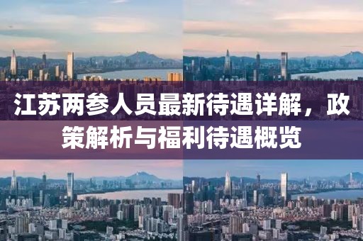 江苏两参人员最新待遇详解，政策解析与福利待遇概览