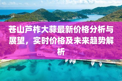 苍山芦柞大蒜最新价格分析与展望，实时价格及未来趋势解析