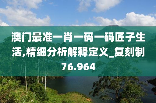 澳门最准一肖一码一码匠子生活,精细分析解释定义_复刻制76.964