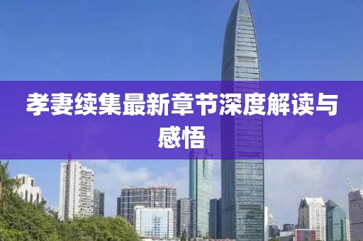 孝妻续集最新章节深度解读与感悟