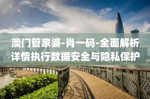澳门管家婆-肖一码-全面解析详情执行数据安全与隐私保护