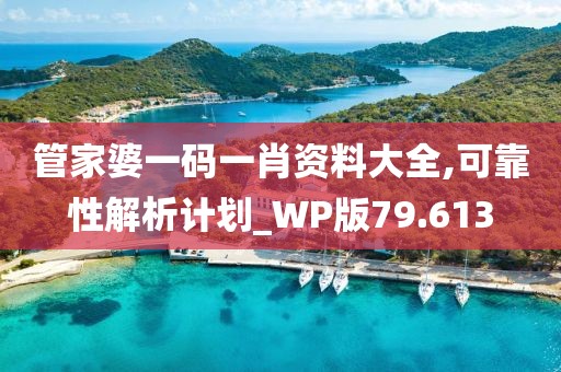 管家婆一码一肖资料大全,可靠性解析计划_WP版79.613