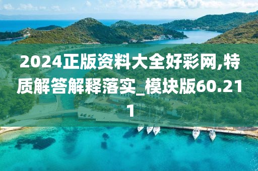 2024正版资料大全好彩网,特质解答解释落实_模块版60.211