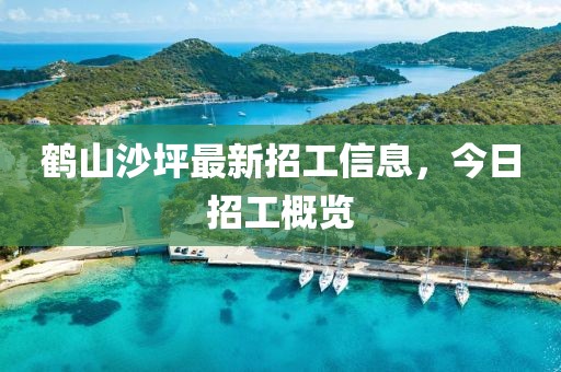 鹤山沙坪最新招工信息，今日招工概览