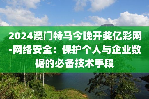 2024澳门特马今晚开奖亿彩网-网络安全：保护个人与企业数据的必备技术手段