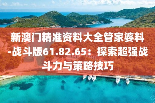 新澳门精准资料大全管家婆料-战斗版61.82.65：探索超强战斗力与策略技巧