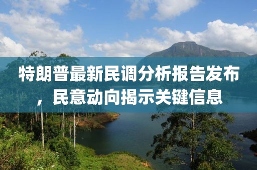 特朗普最新民调分析报告发布，民意动向揭示关键信息