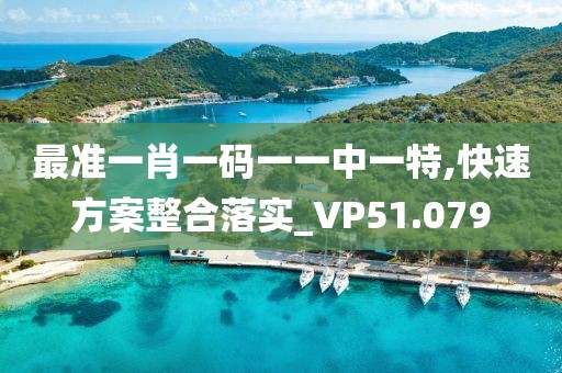 最准一肖一码一一中一特,快速方案整合落实_VP51.079