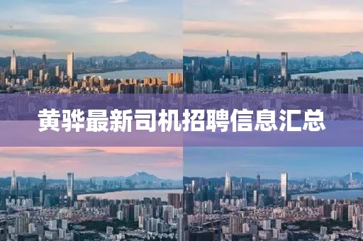 黄骅最新司机招聘信息汇总