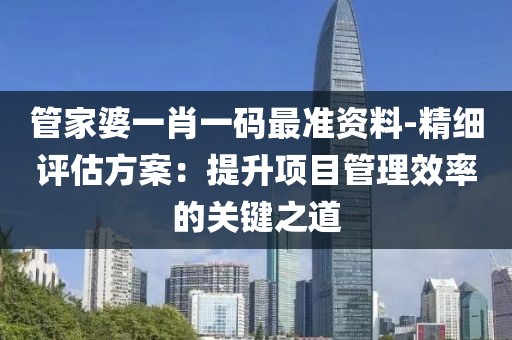 管家婆一肖一码最准资料-精细评估方案：提升项目管理效率的关键之道