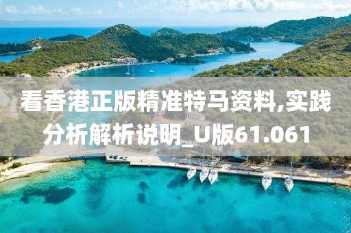 看香港正版精准特马资料,实践分析解析说明_U版61.061