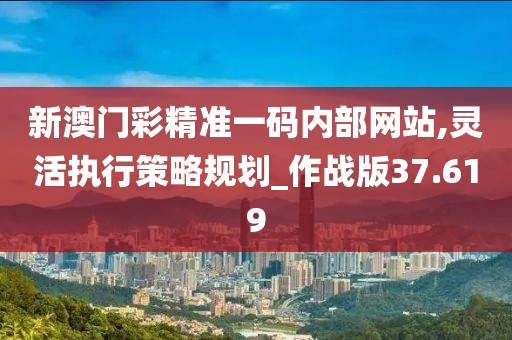 新澳门彩精准一码内部网站,灵活执行策略规划_作战版37.619