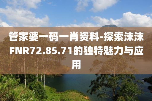 管家婆一码一肖资料-探索沫沫FNR72.85.71的独特魅力与应用