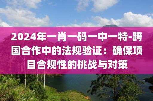 2024年一肖一码一中一特-跨国合作中的法规验证：确保项目合规性的挑战与对策