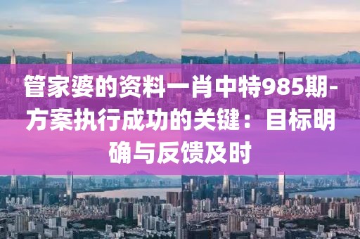 管家婆的资料一肖中特985期-方案执行成功的关键：目标明确与反馈及时